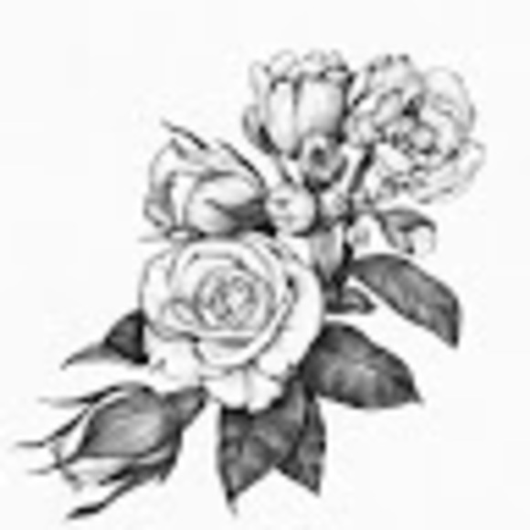 alshami2119